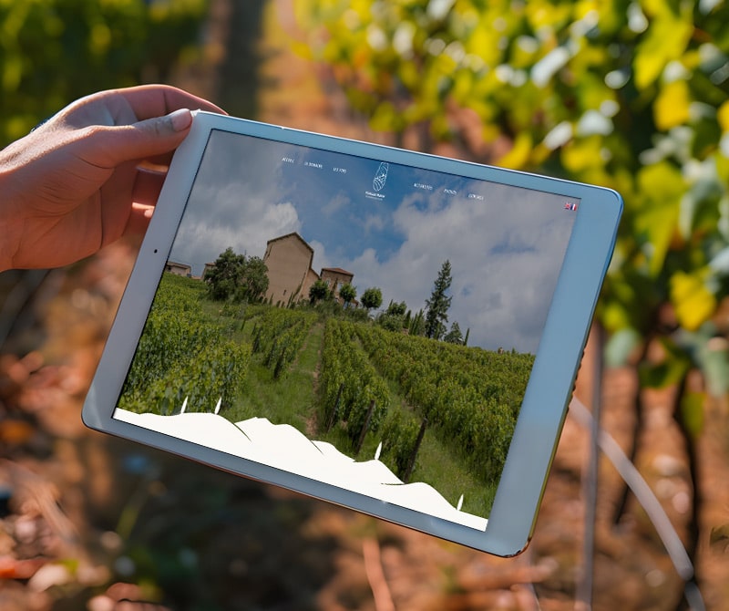 creation-site-internet-pour-vignoble-a-domaine-morin